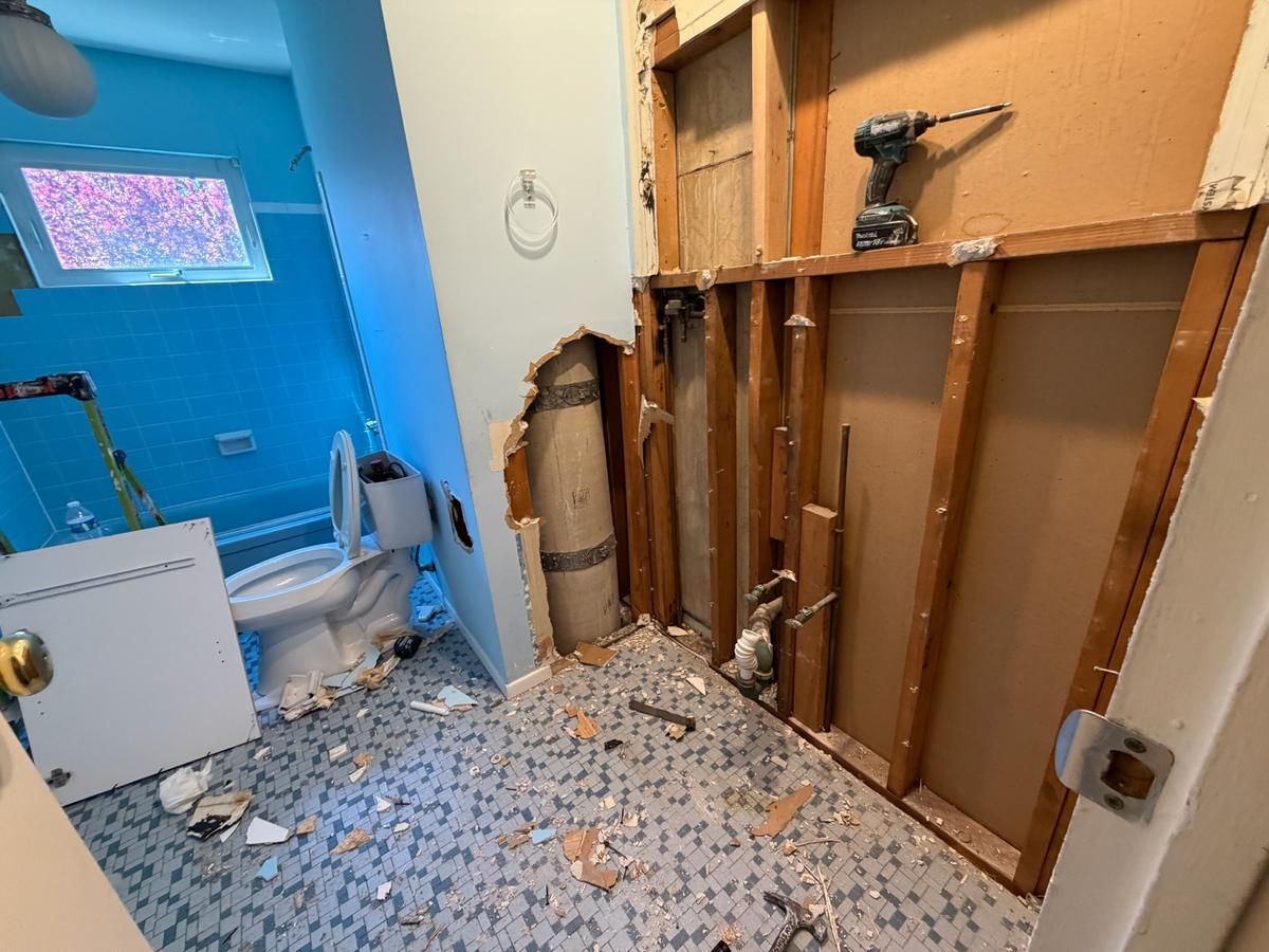 Bathroom demo showing blue walls and exposed framing